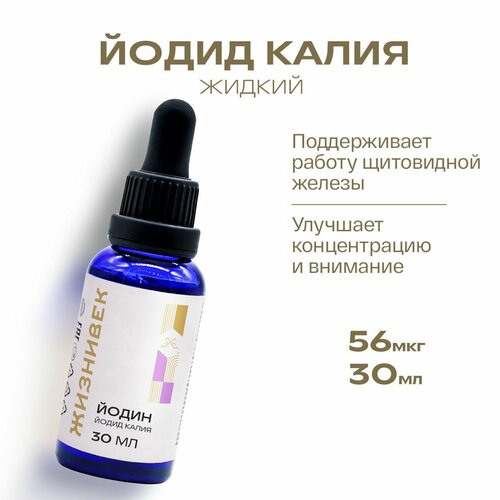 ������ ������ ����� ����� ����