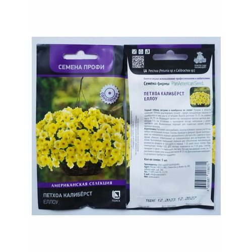 ������ ������ ������ �������� ����� 5�� ����� ����