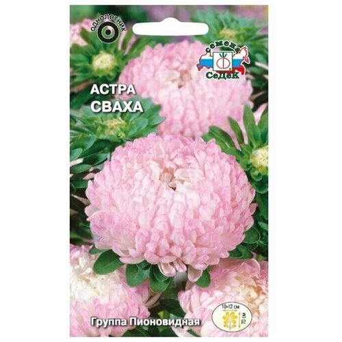 ������ ������ ������ ����� ����� ����