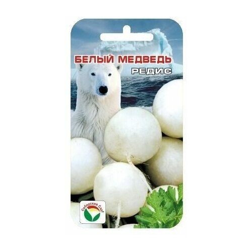 ������ ������ ����� ������� 2�� ����� (��� ���) ����