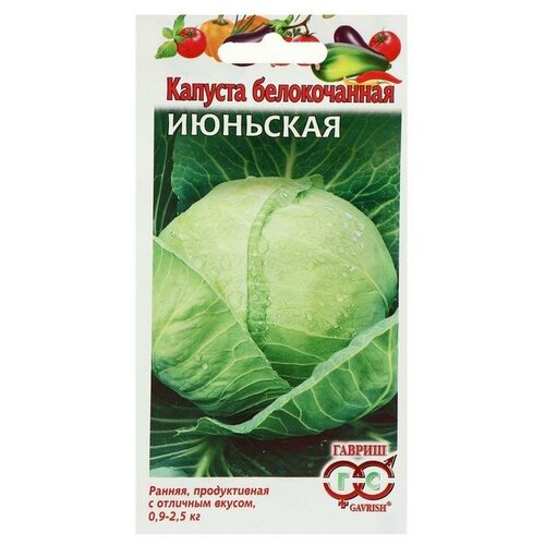 ������ ������ ������ ������� ������������ 