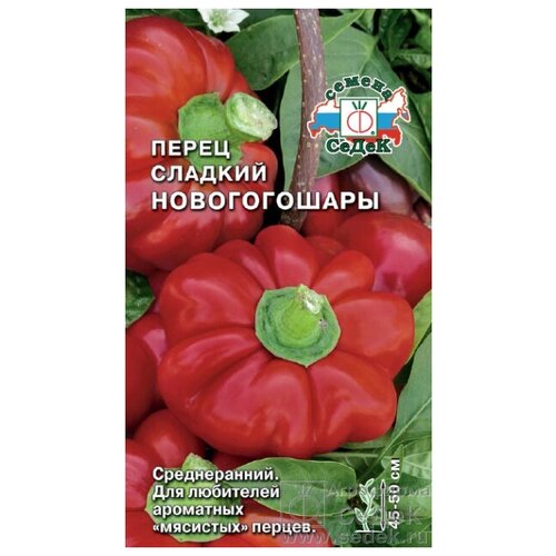 ������ ������ ������ ����� �������� 