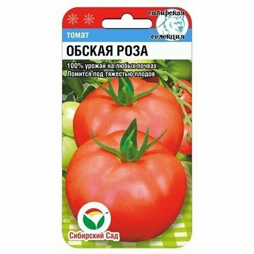 ������ ������ ������ ����� ������ ���� 20�� ��� (��������� ���) ����