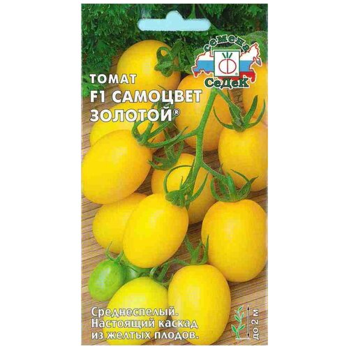 ������ ������ ����� F1 �������� ������� ����