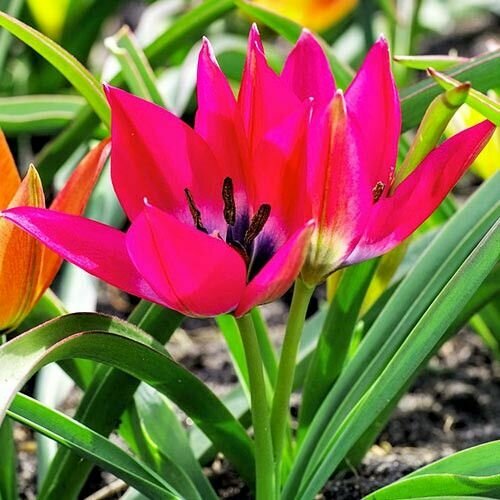 ������ ������ ������� ������������ ����� ����� (10 ����) / ���������� ����� ����