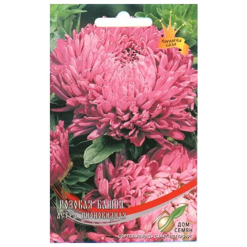 ������ ������ ����� ����������� ������� �����, 90 ����� ����