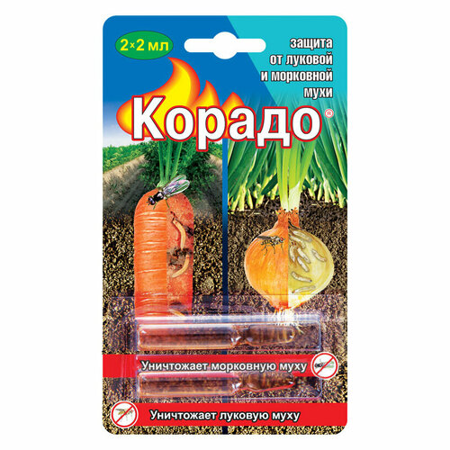 ������ ������ �������� �� ��������� � ������� ���� 