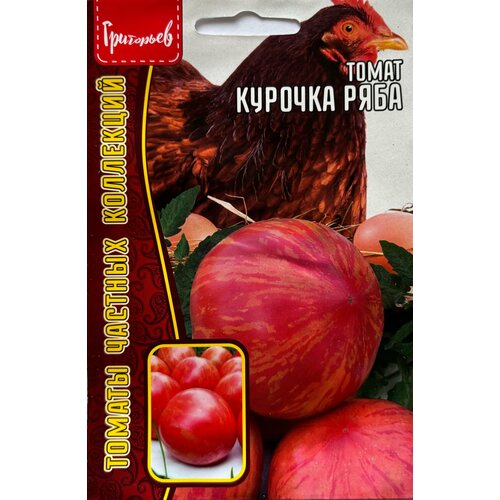 ������ ������ ������ ������ 