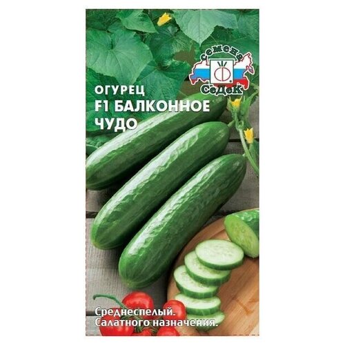 ������ ������ ������ ������� ��������� ���� F1 0,2 � ����