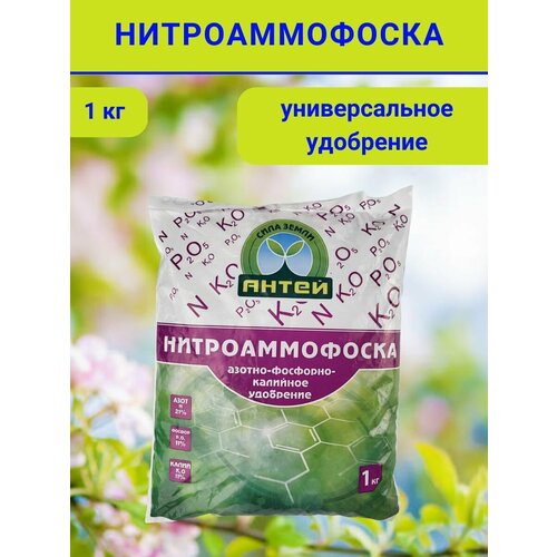 ������ ������ ��������� ��������������, 1 �� ����