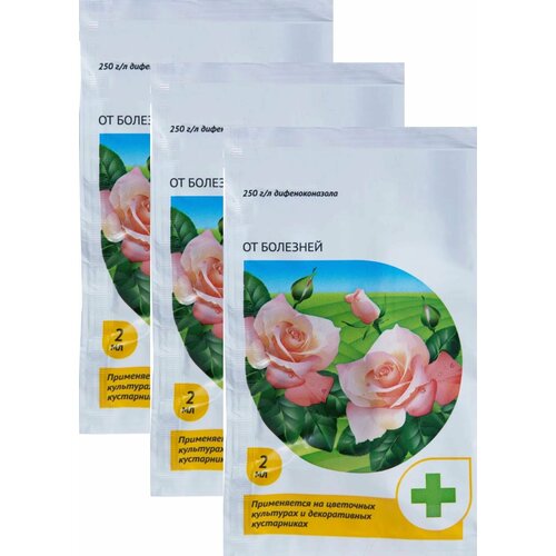 ������ ������ �������� �� �������� ��� � ������ ��������� �������, 3 ������ �� 2 ��. ����������� �������� ��� ������ � ������������� ��������� ����, ����� ����� � ������ ����������� ����