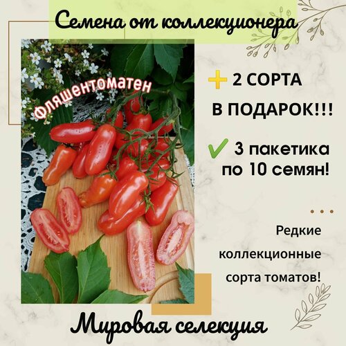 ������ ������ ����� 