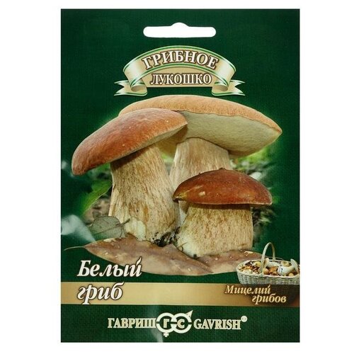 ������ ������ ������ ������� 