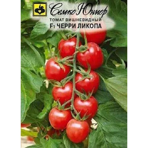 ������ ������ ������ ����� ����� ������ F1 ����� 5�� ����� ������ (�����) ����