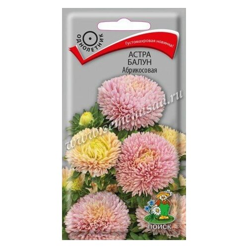 ������ ������ ����� 