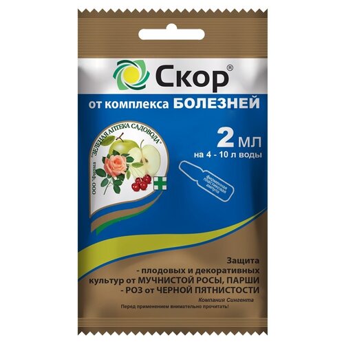 ������ ������ ������� ������ �������� �������� ��� ������ �� ��������� ����������� ����, 2 ��, 2 � ����