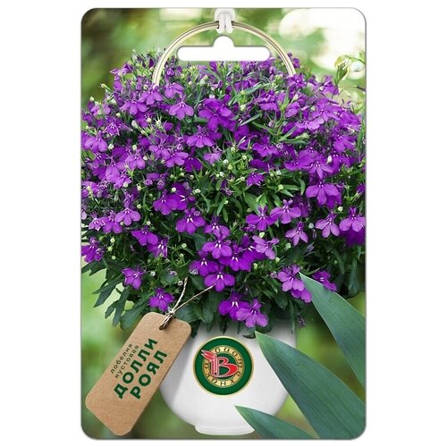 ������ ������ ������ ������� �������� 