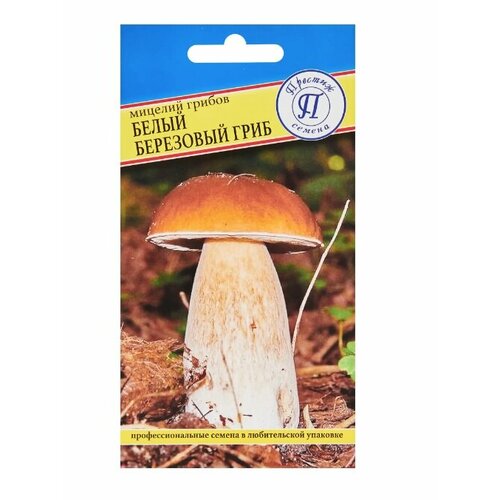 ������ ������ ������� ������ ����� ���� ��������� ������� 15 ����� ����