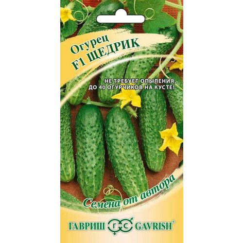 ������ ������ ������ ������ F1 10�� ������ ����