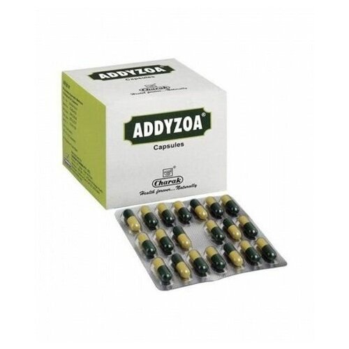 ������ ������ ������� Charak Addyzoa, 20 ��. ����