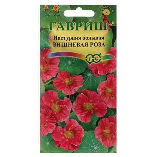 ������ ������ ������ ��������� ������ �������� ���� 1 � ����