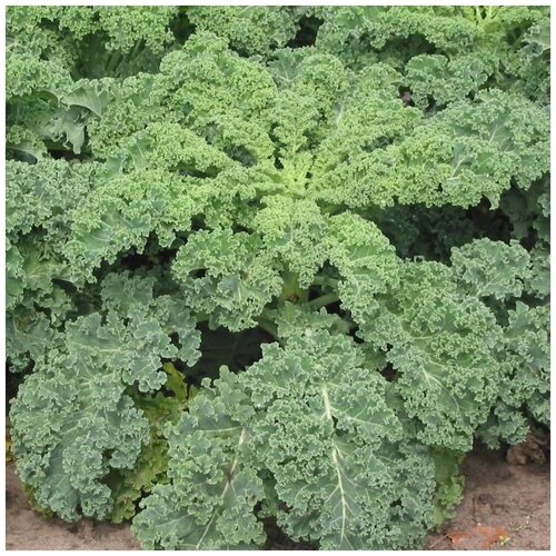 ������ ������ ������ ������ ������� �������� ���� 30 ��. ����