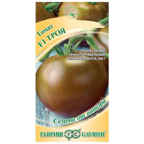 ������ ������ ������ �����, ���� F1, 12 ��, ������� ��������, ������ ����