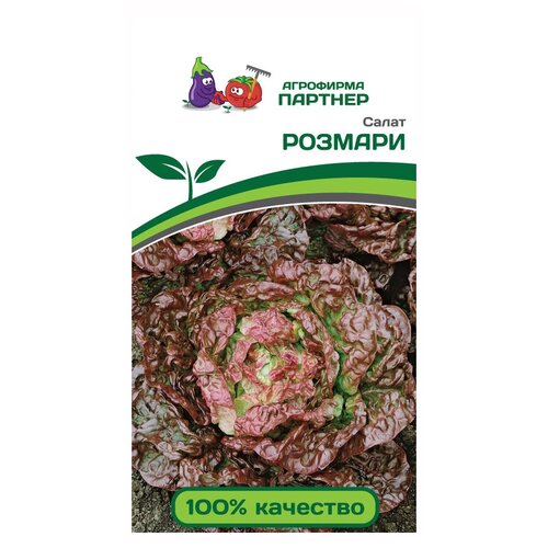 ������ ������ ������ ����� �������� ������� ������� 1� ����