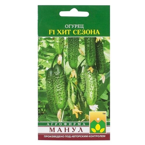 ������ ������ ������ ����� 