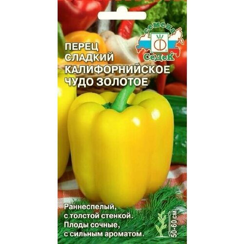 ������ ������ ������ ����� �������������� ���� ������� - ����� ����