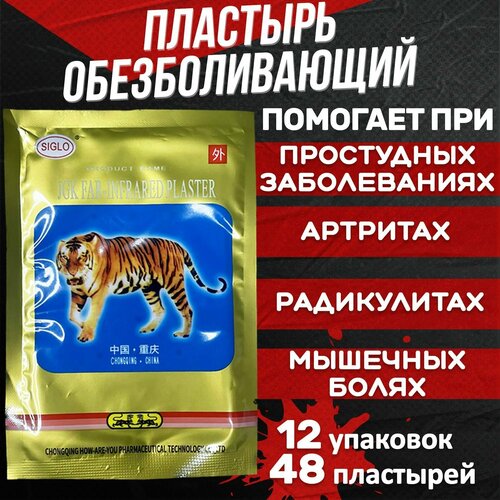 ������ ������ �������� �������������� ���������, �� �������� ������, �������� ������������� �� ���� � ����� � ��������, ��������, 12 �������� 48 ���� ����