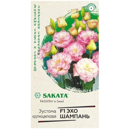 ������ ������ ������ ������ ������� ��� ������� F1, 5 ��. ����