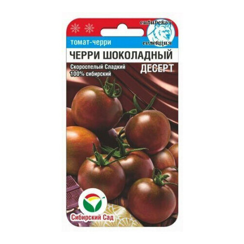 ������ ������ ������ ����� �����-���������� ������ 20�� ����� (��������� ���) ����