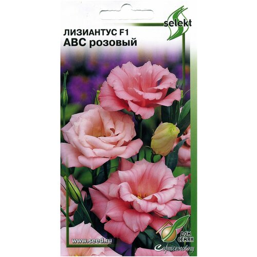 ������ ������ ��������� F1 (�������) ���, �������, 5 ����� ����