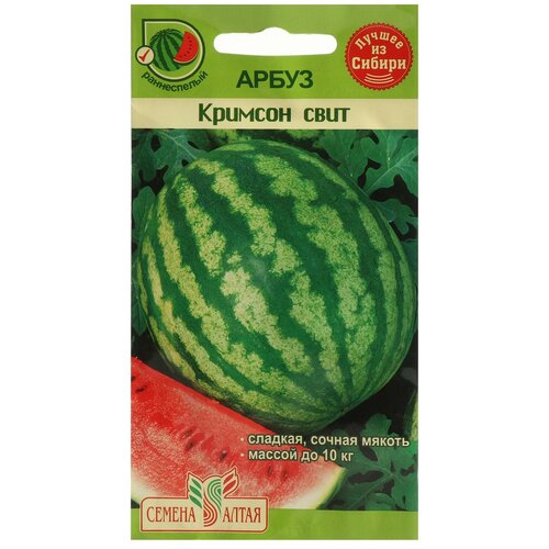 ������ ������ ������ ����� 