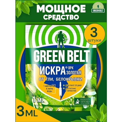     ,  Green Belt ( ) 3   1    -     , -,   
