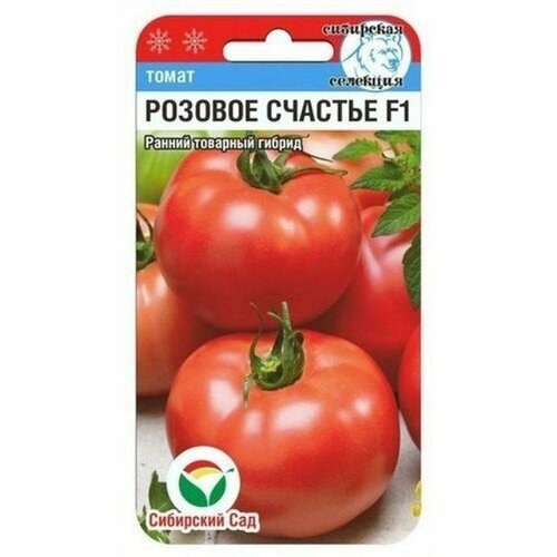 ������ ������ ������ ����� ������� ������� F1 (��������� ���) 15�� ����