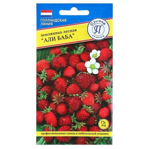 ������ ������ ������ ��������� 