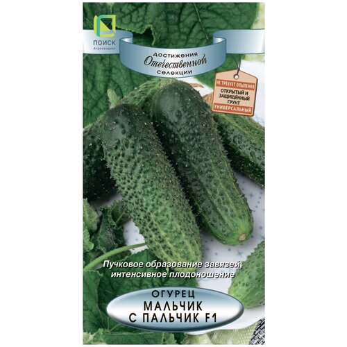 ������ ������ ������ ������ ������� � ������� ����� 12 �� ����