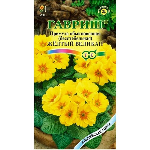 ������ ������ ������� ������ �������, 1 �����, ������ 10 ��, ������ ����