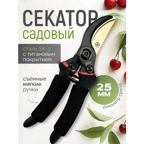 ������ ������ ������� ������� ��� ������ � �������� ����