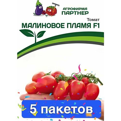 ������ ������ ������ ������ ��������� ������� 