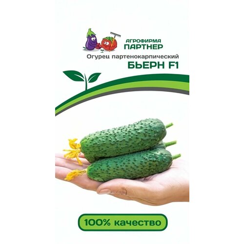 ������ ������ ������ ������ ��������� ������� 