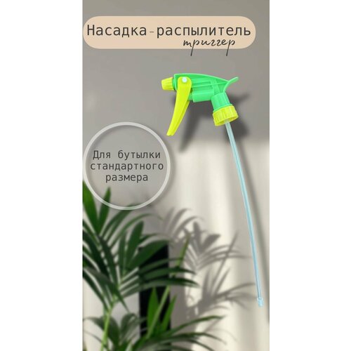 ������ ������ �������-����������� �� ������� (�������) ����