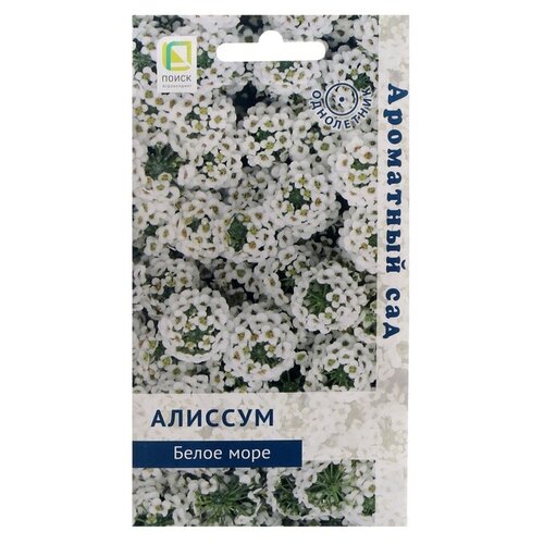 ������ ������ ������ ����� �������  ����� ����, 0,3 � ����