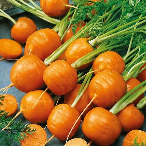 ������ ������ ������������� ������ ������� ��������� �������� ����