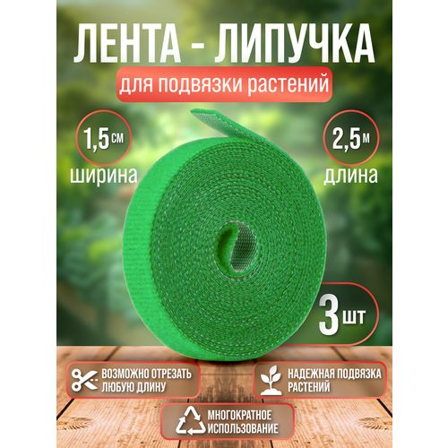 ������ ������ �����-������� ������� ��� �������� �������� | 3 ������ �� 2,5 ����� | ������ ����� 1,5 ��. ����