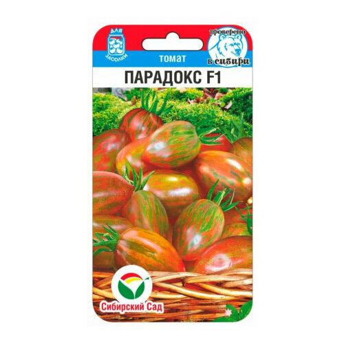 ������ ������ ������ ����� �������� F1 15�� ����� ������ (��������� ���) ����