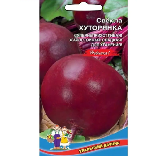 ������ ������ ������ ������ ��������� 2� �������� ��� (��������� ������) ����