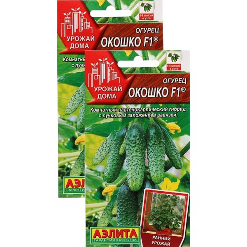 ������ ������ ������ ������ F1 (10 �����), 2 ������ - ������ ���� ����